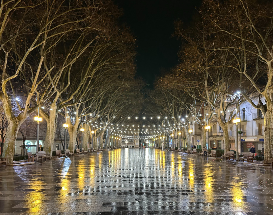 A lamplit promenade reflecting on wet pavement at night